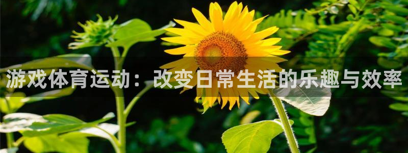 五星体育nba：游戏体育运动：改变日常生活的乐趣与效率