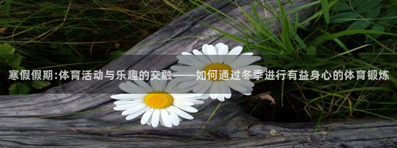 五星体育m3u直播源