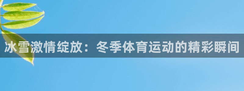 五星体育可以在哪里看直播