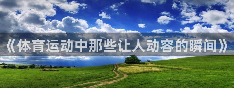 上海五星体育解说员