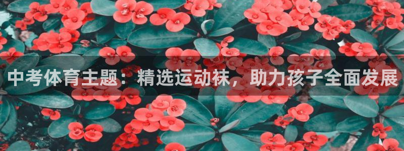 上海五星体育电视节目单