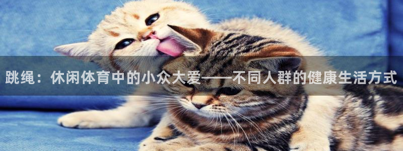 五星体育cba转播：跳绳：休闲体育中的小众大爱——不同人群的健康生活方式