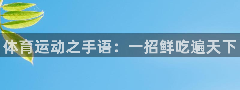 五星体育app改名了吗：体育运动之手语：一招鲜吃遍天下