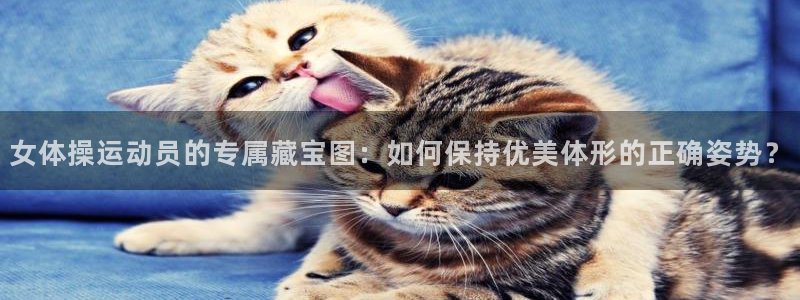 五星体育传媒有限公司：女体操运动员的专属藏宝图：如何保持优美体形的正确姿势？