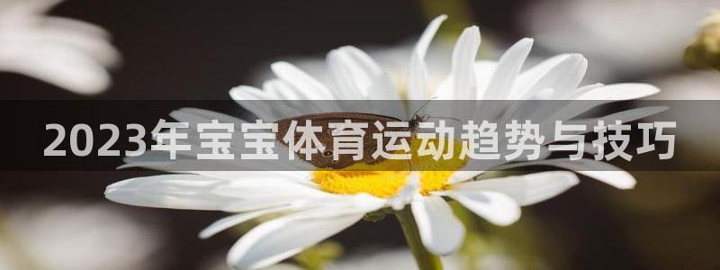 五星体育一起耍大牌