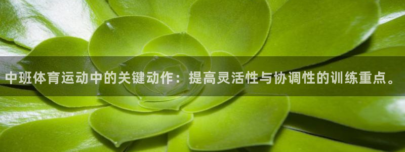 深圳五星体育运动