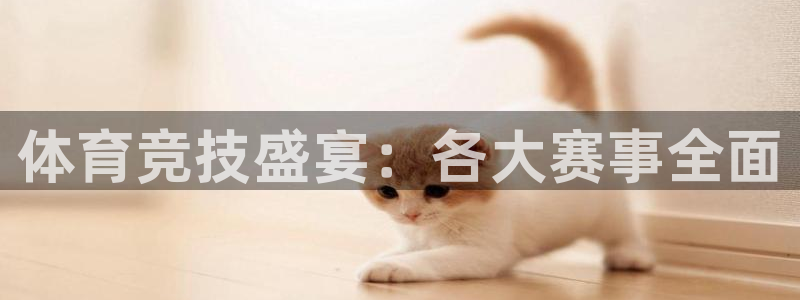 五星体育刘雅东个人简历