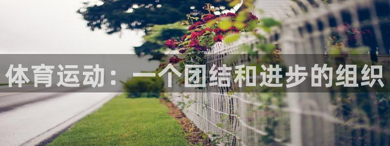 五星体育查剑杰个人简历