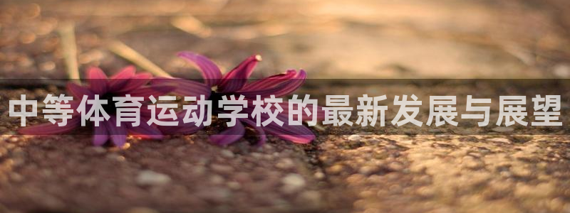 五星体育男主持：中等体育运动学校的最新发展与展望